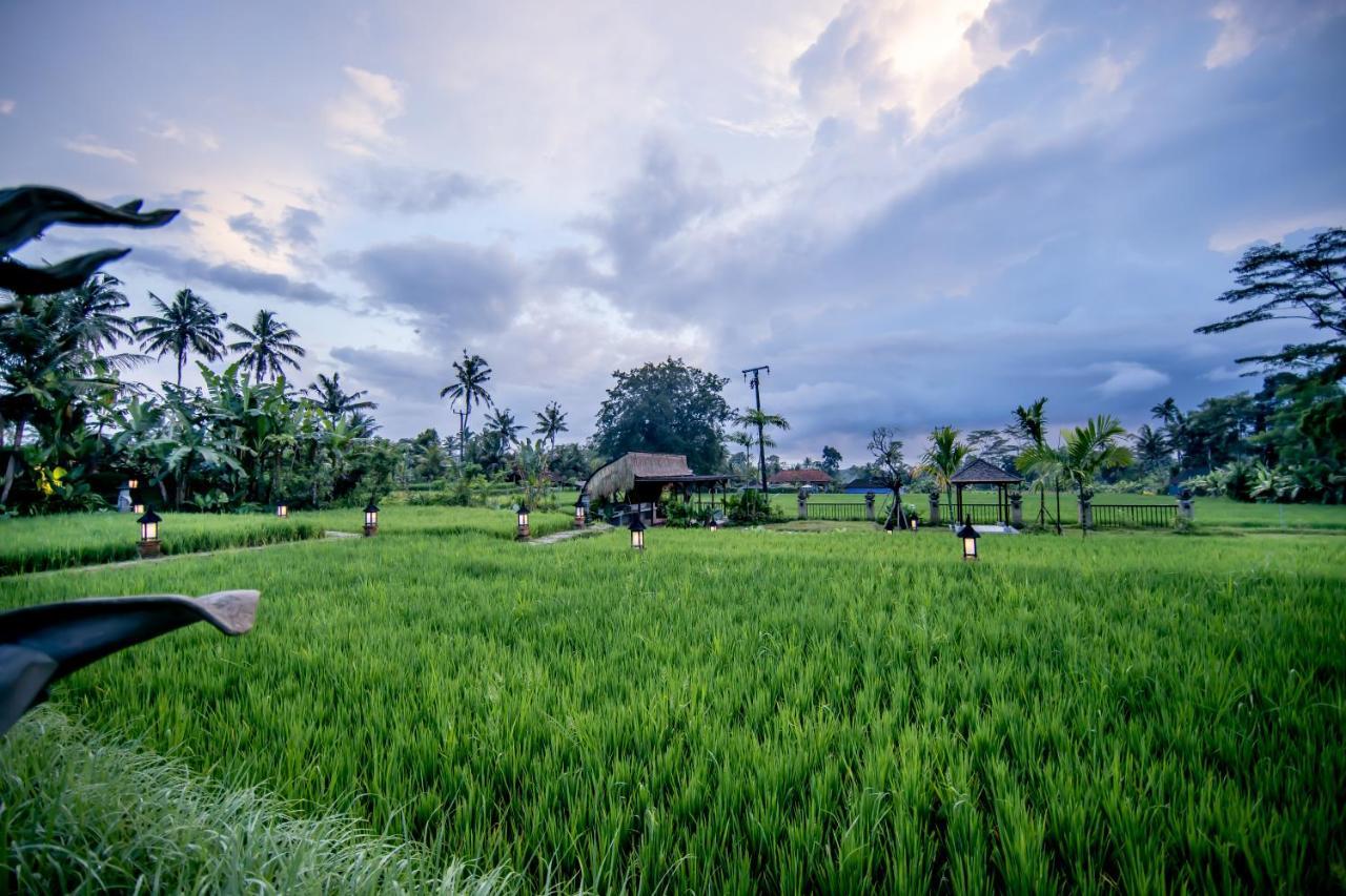 Anumana Village Ubud Exterior photo