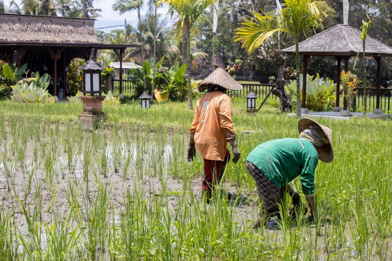 Anumana Village Ubud Exterior photo