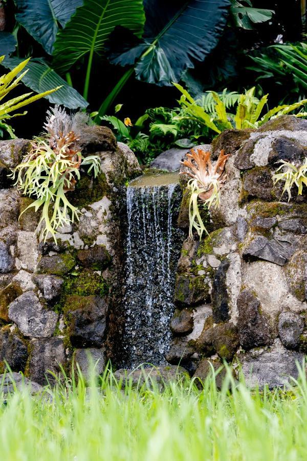 Anumana Village Ubud Exterior photo